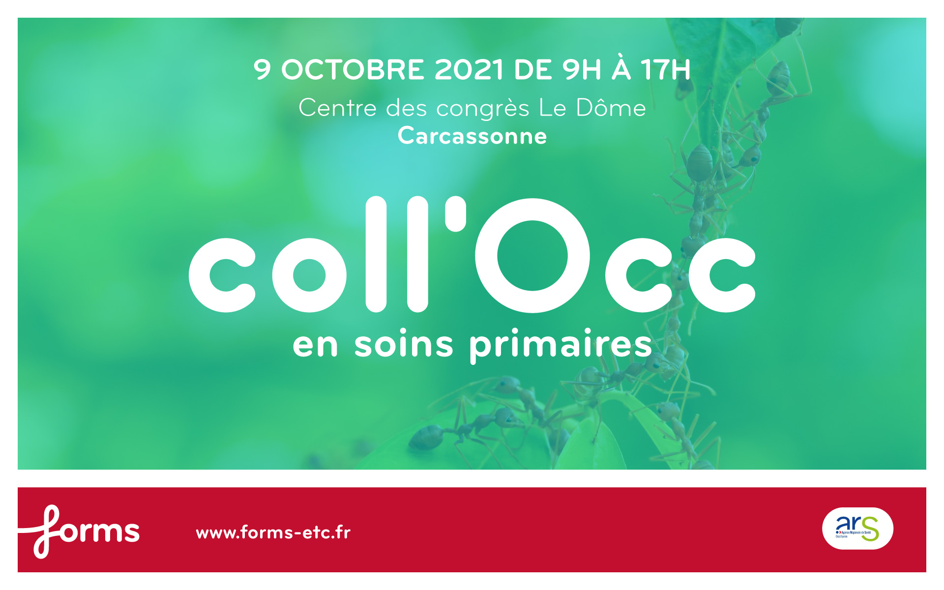 Coll'Occ